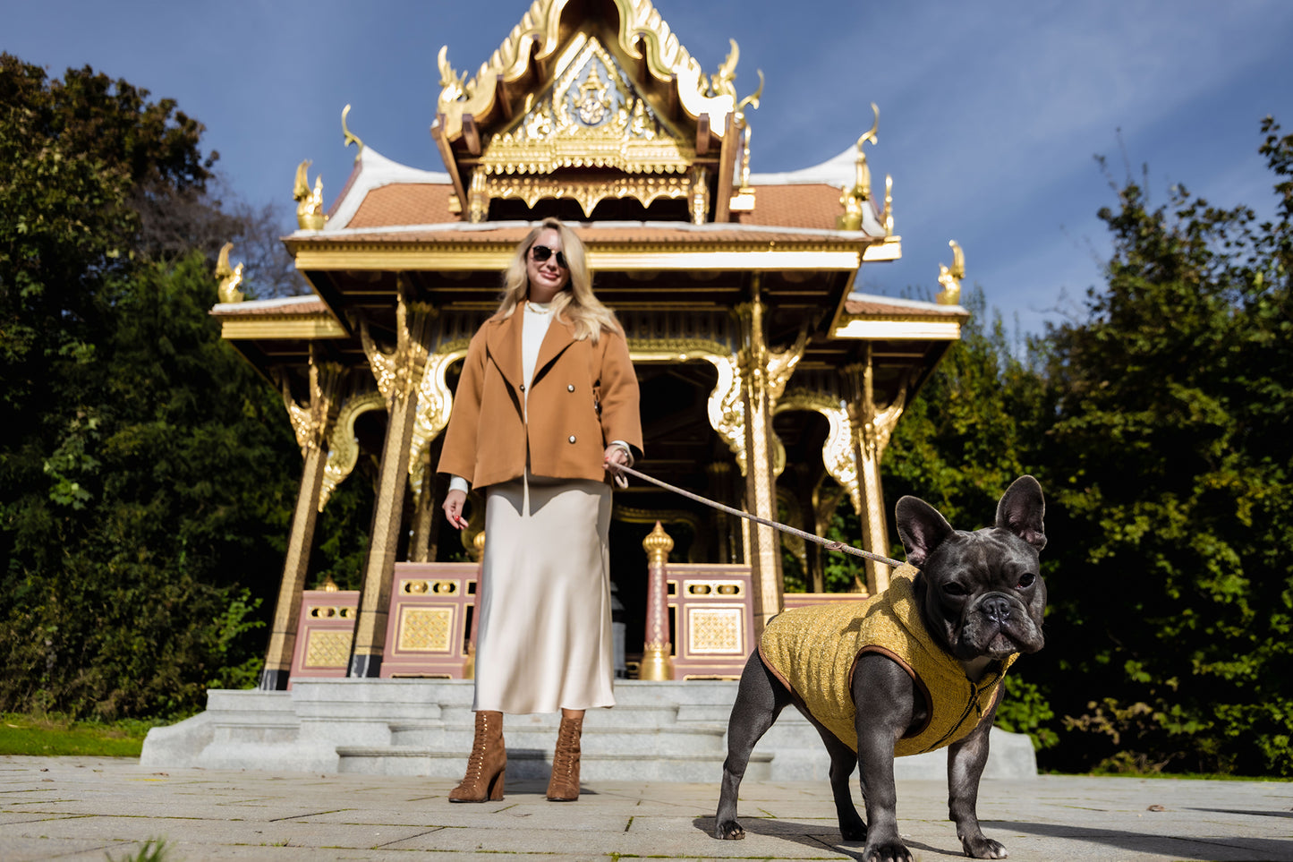 Dog Jacket - Gold Padded Tweed