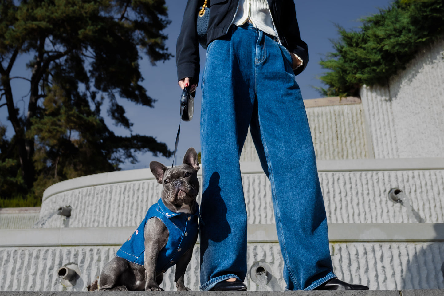 Dog Jacket - Denim with Embroidery
