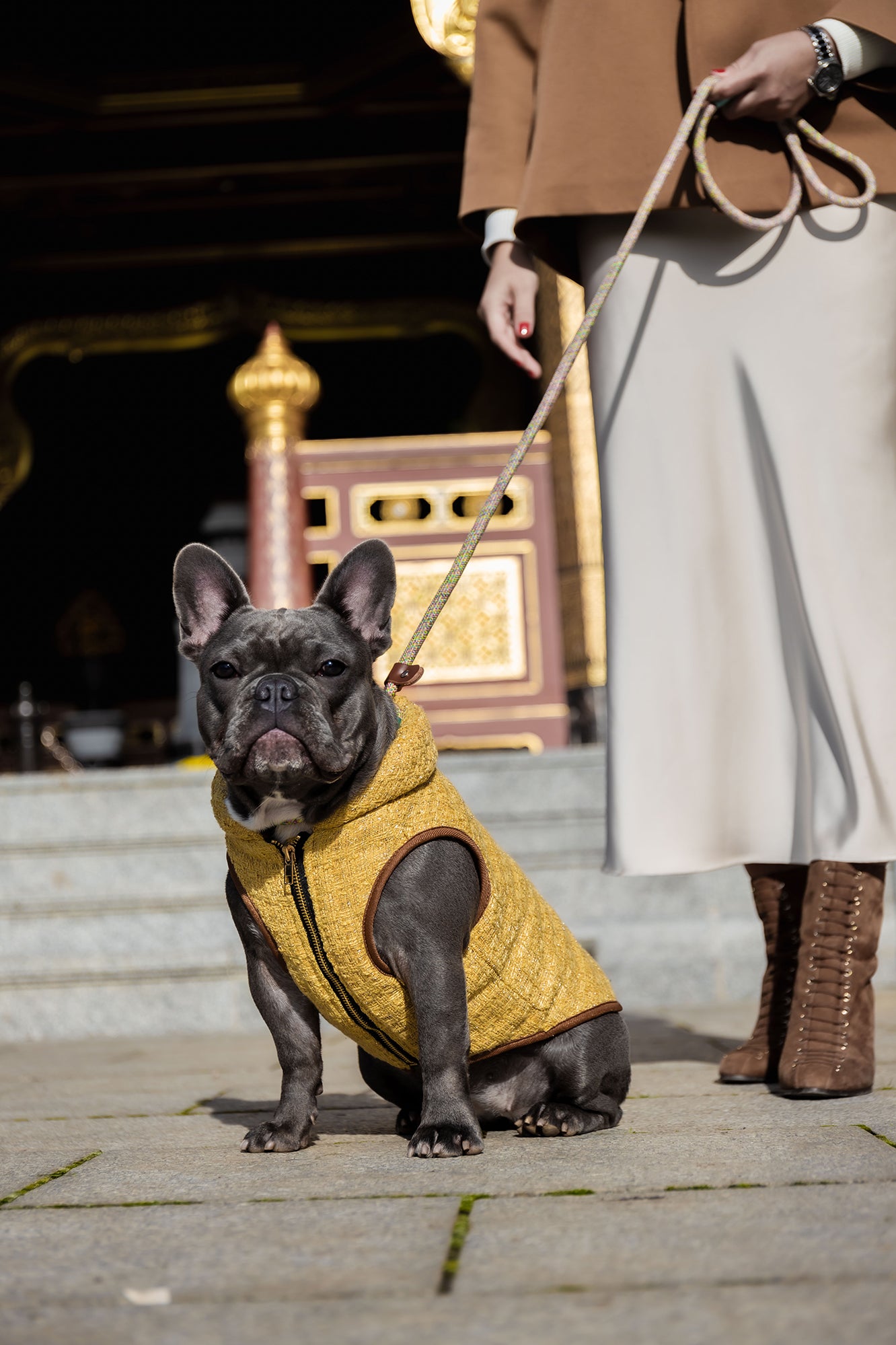 Flexible Gold Tweed Padded Dog Jacket for Winter Style Dress Me Like You Do Flexible Gold Tweed Padded Dog Jacket for Winter Style Dress Me Like You Do