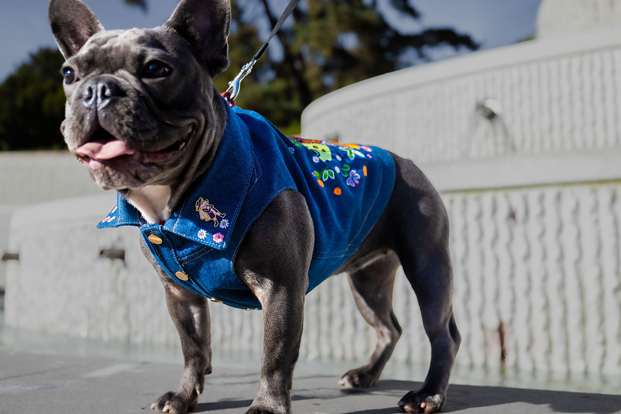 Dog Jacket - Denim with Embroidery
