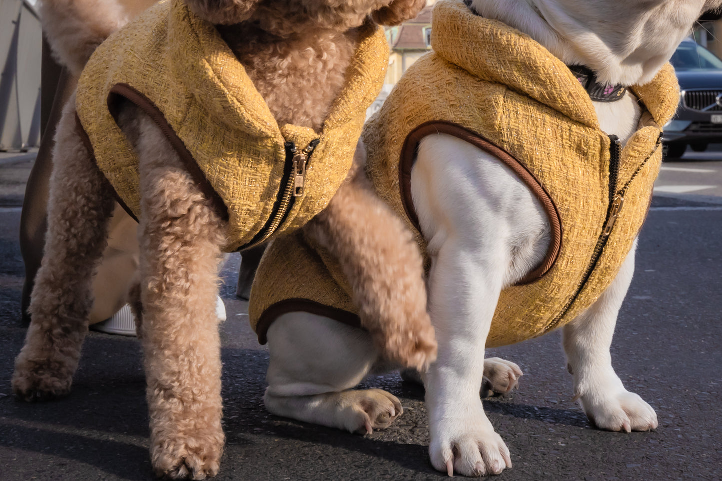 Dog Jacket - Gold Padded Tweed