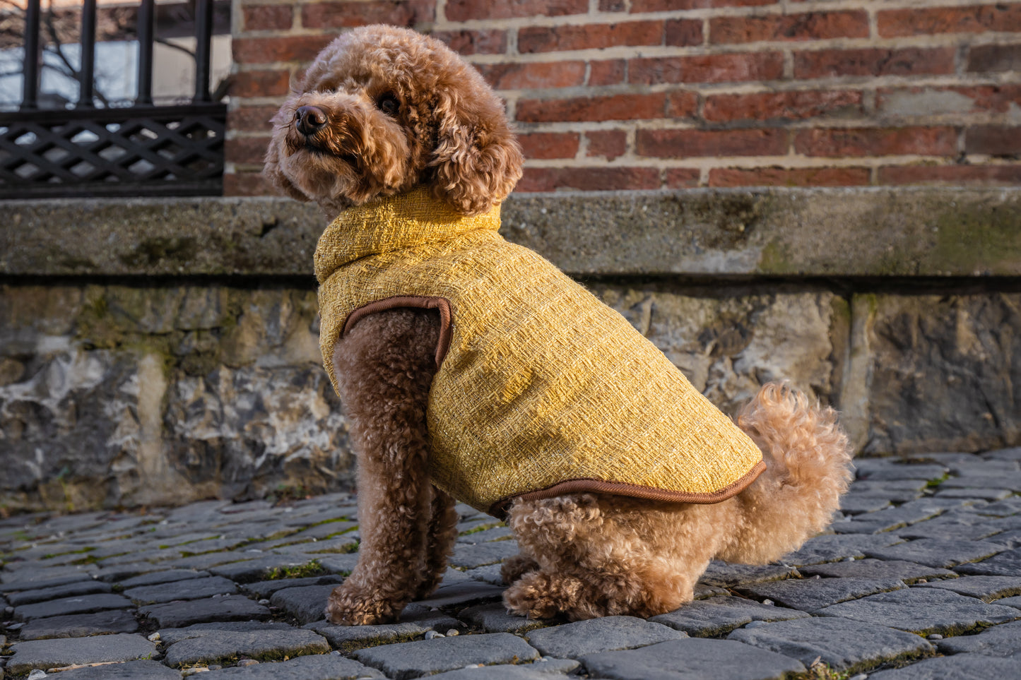 Dog Jacket - Flexible Gold Tweed Padded